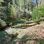 Am Wald Bad Herrenalb