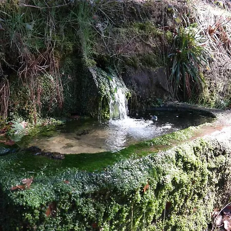 Am Wald 아파트 바트헤른알브