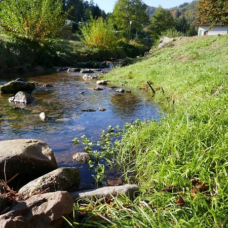 Am Wald 바트헤른알브