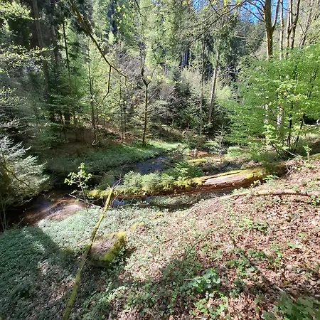 Am Wald 바트헤른알브